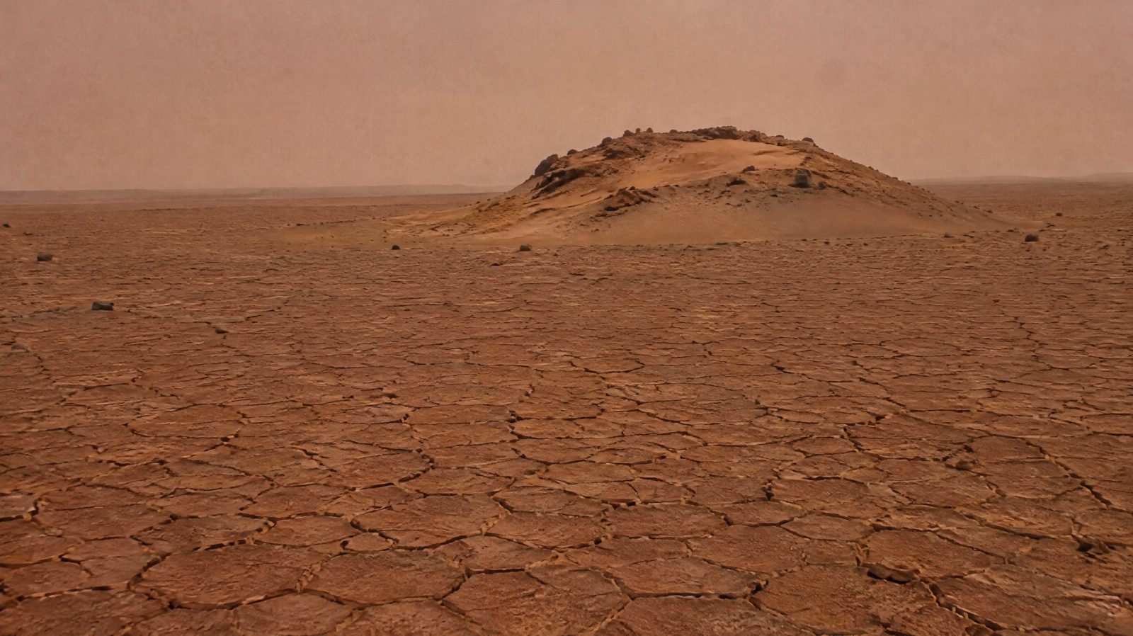 Martian valley floor covered in small honeycomb-like polygonal cracks around a low sand-capped hill